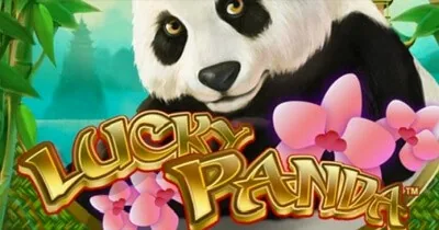Lucky Panda