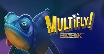 Multifly!