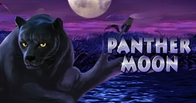 Panther Moon