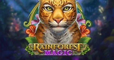Rainforest Magic