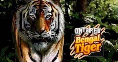 Untamed Bengal Tiger