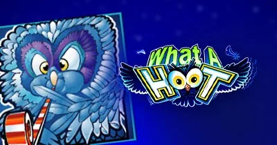 What a Hoot