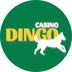 Casino Dingo