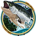 Alaskan Fishing