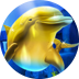 Dolphins Gold