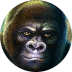 Silverback: Multiplier Mountain